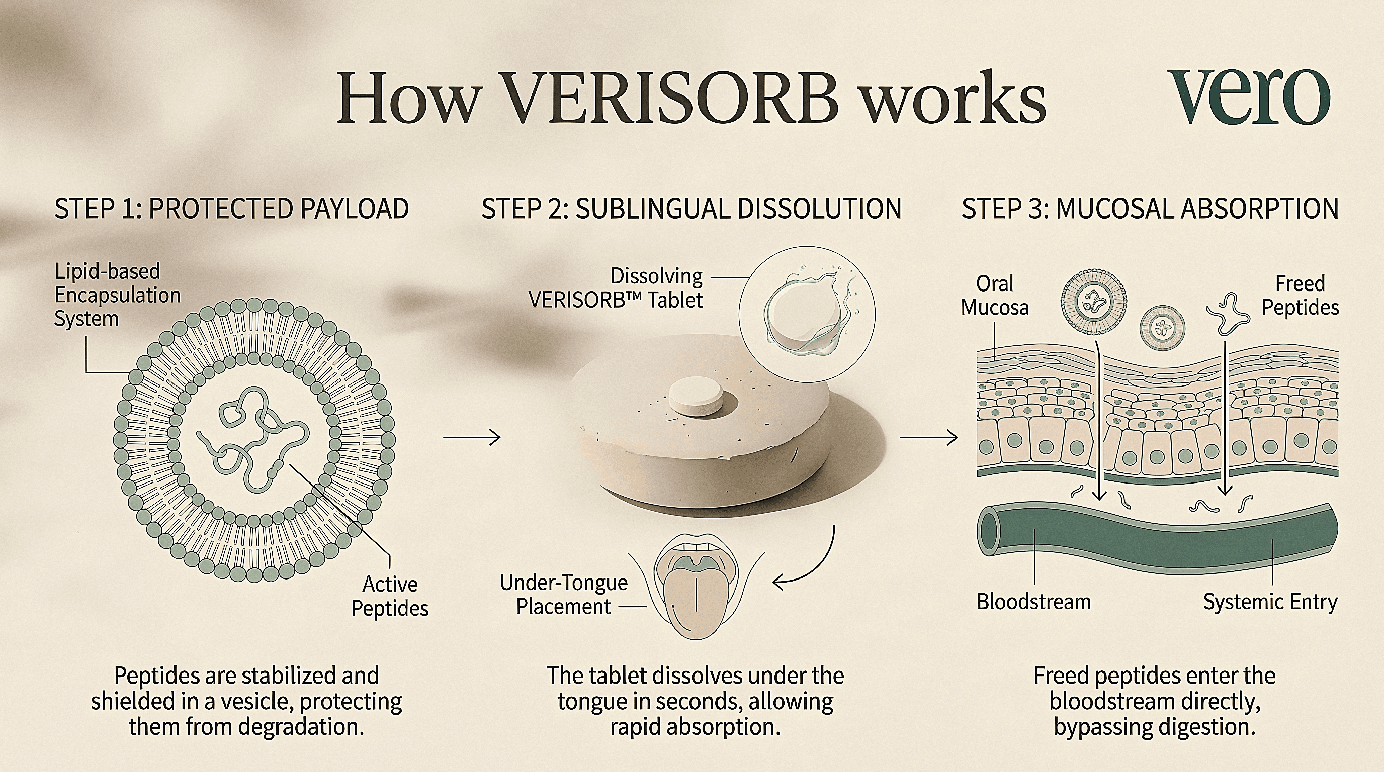 How VERISORB works