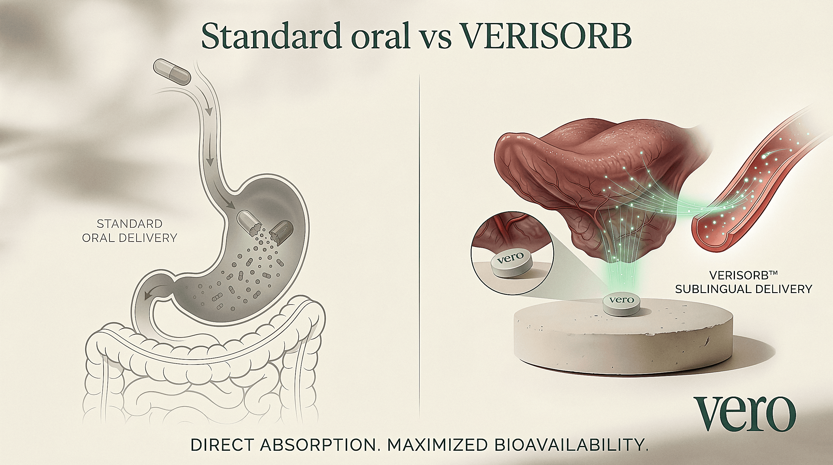 Standard oral vs VERISORB comparison