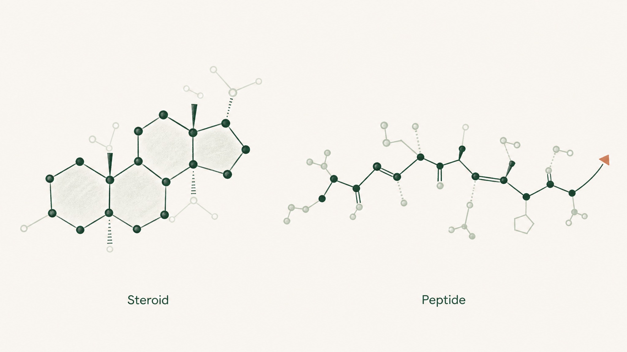 What Makes a Steroid a Steroid?