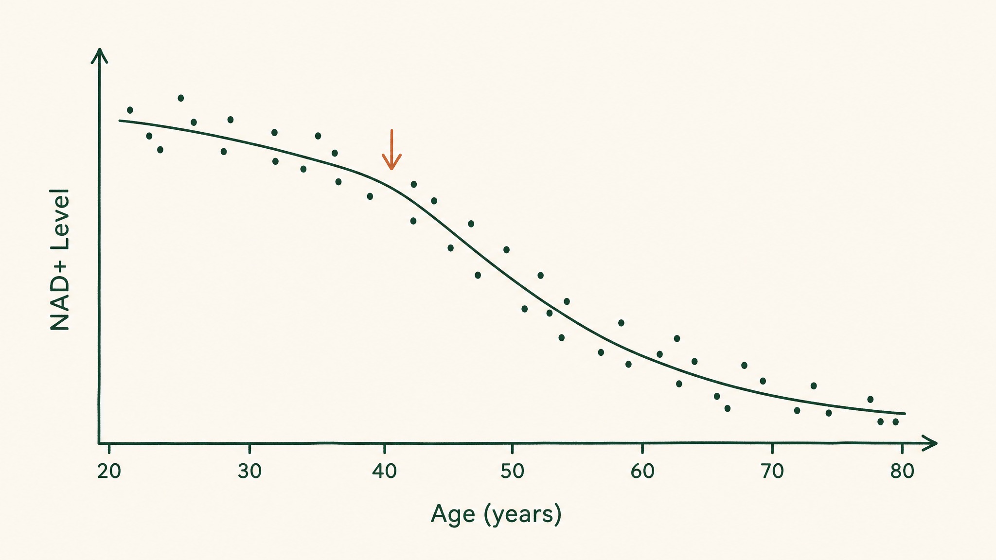 What does the human research actually show?