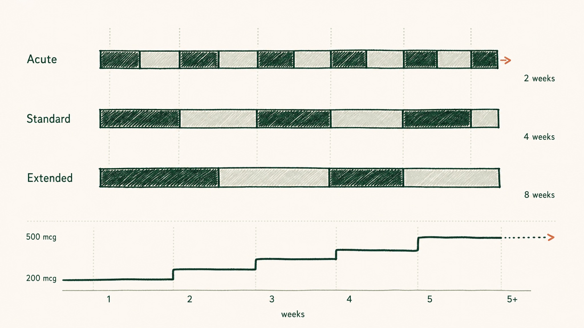 BPC-157 Protocol Structure: Cycle Length and Timing