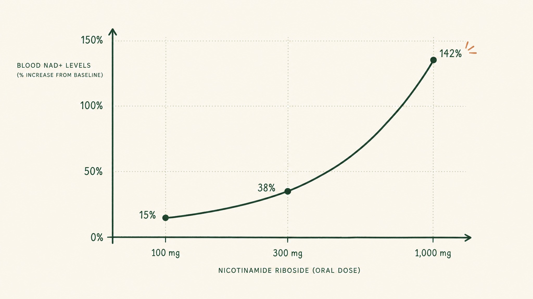 Does an NAD supplement raise your blood NAD?