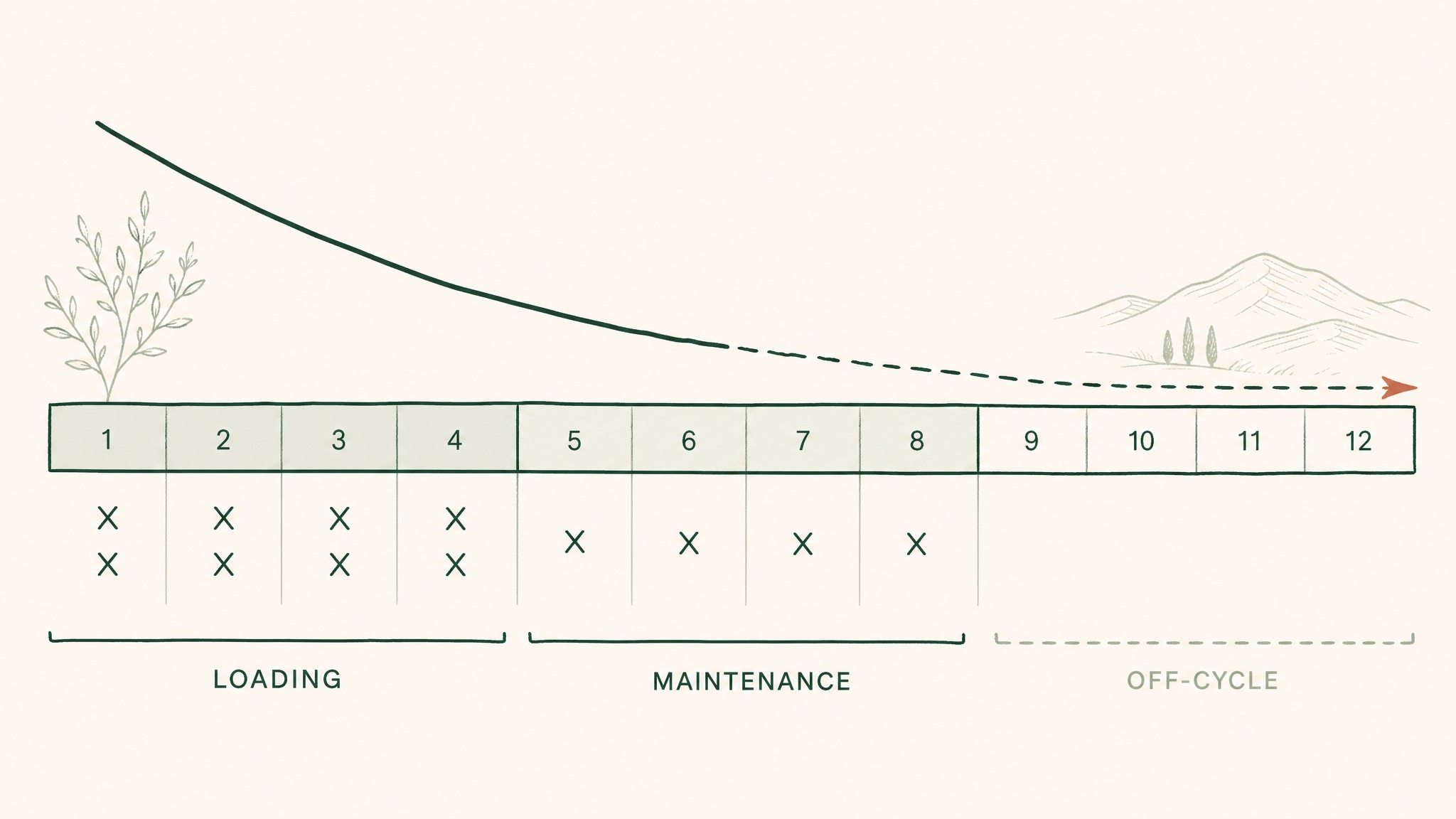What does a typical TB-500 dosing cycle look like?