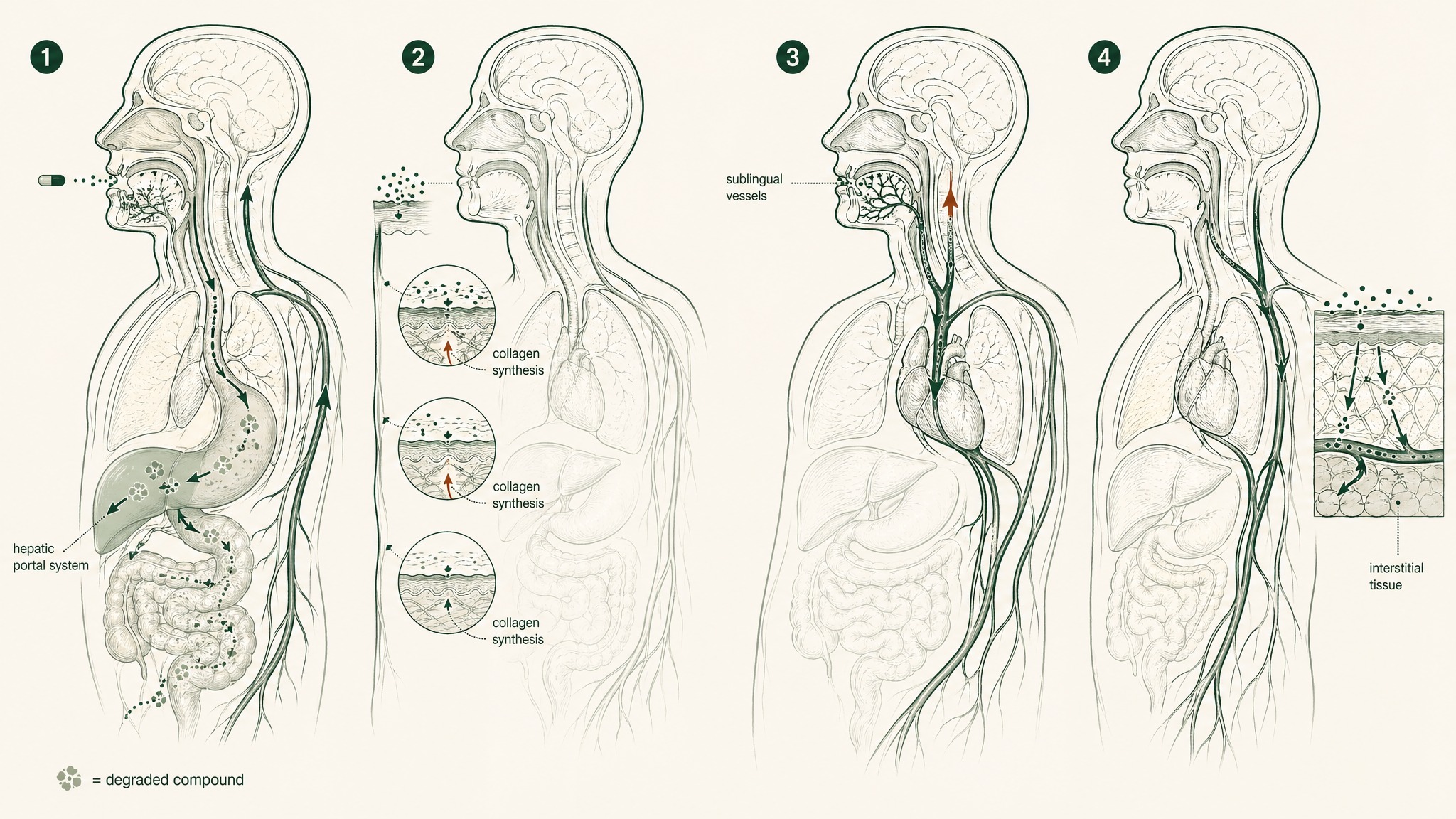 Four Routes, Four Very Different Realities