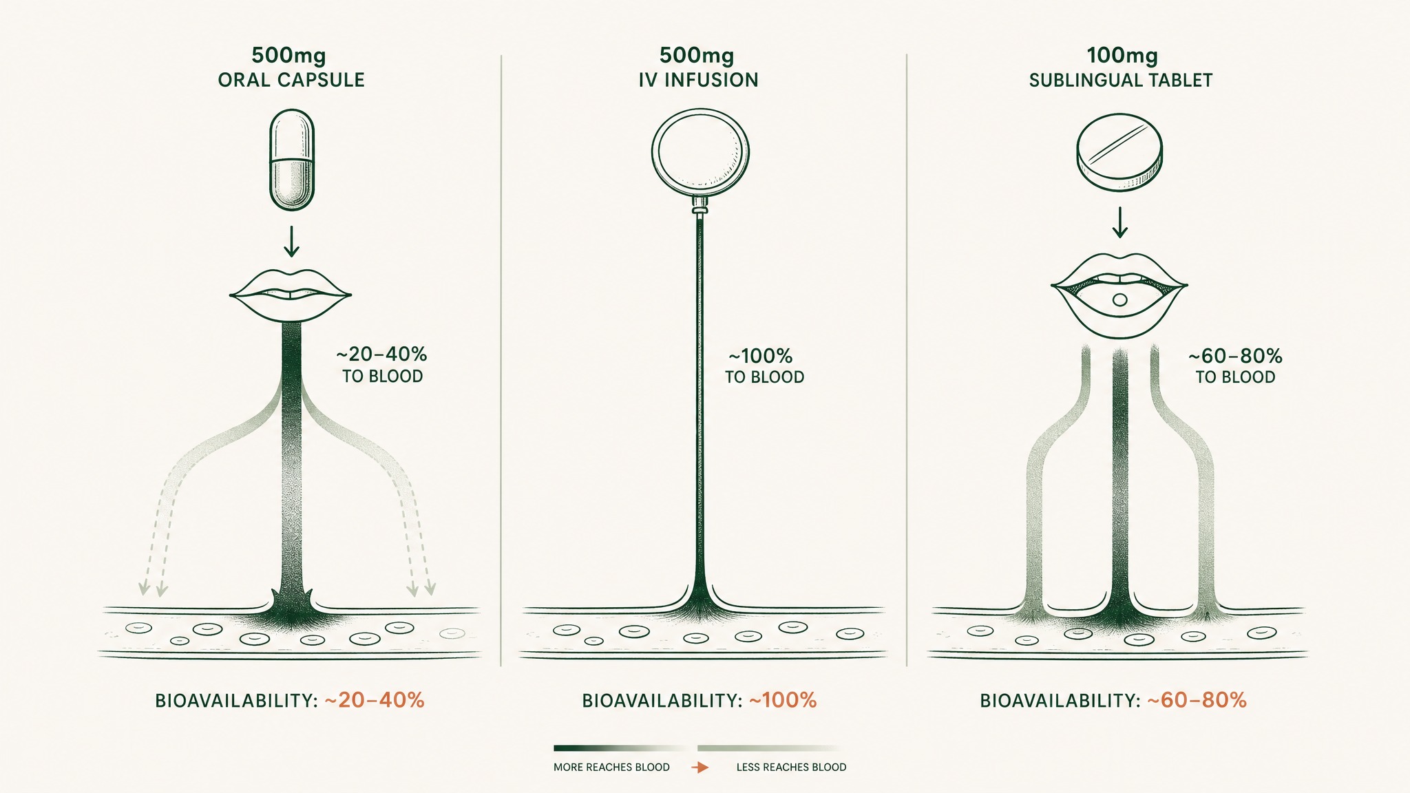 What does the bioavailability research actually show?