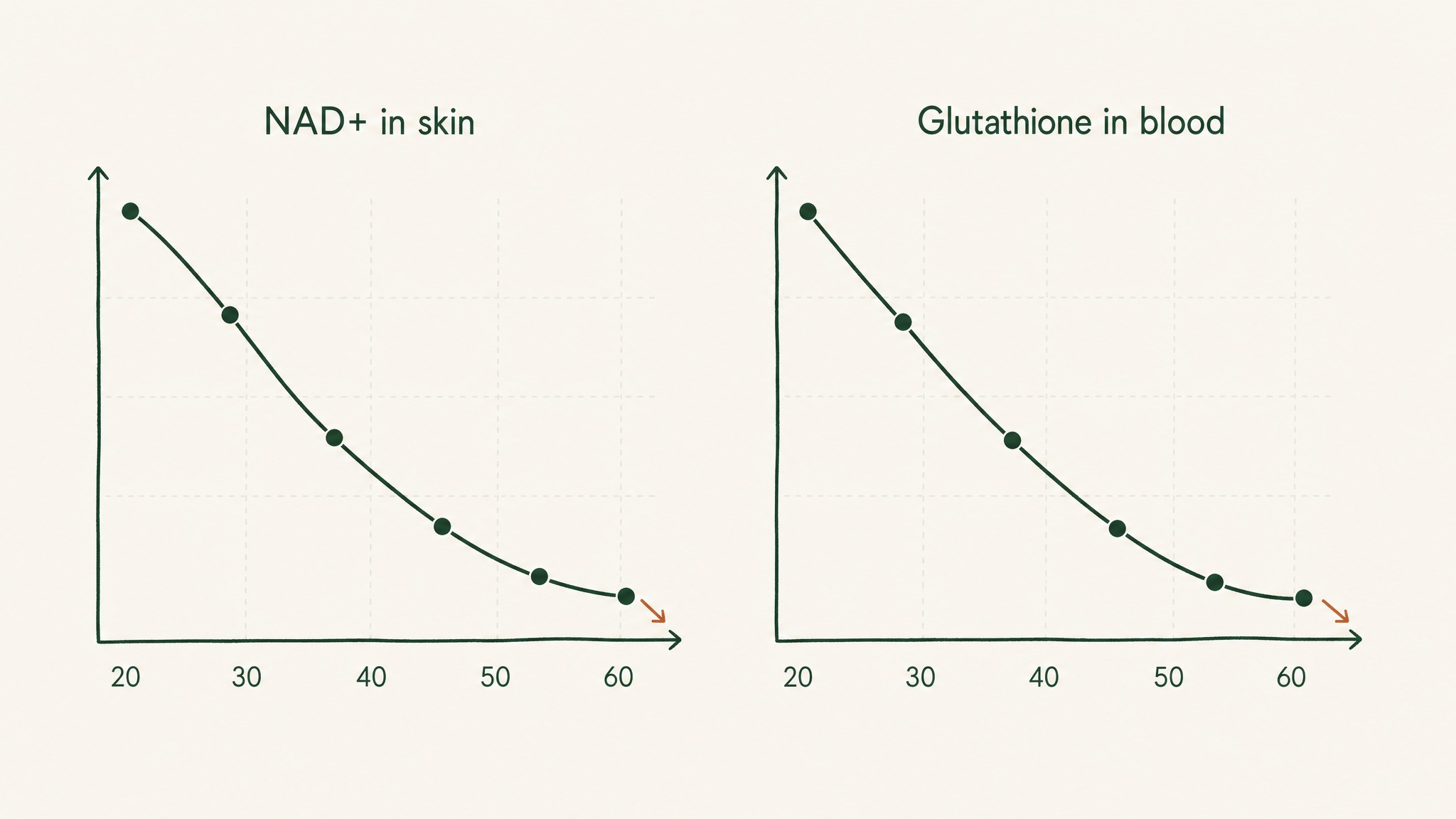 What does the research actually show for each?