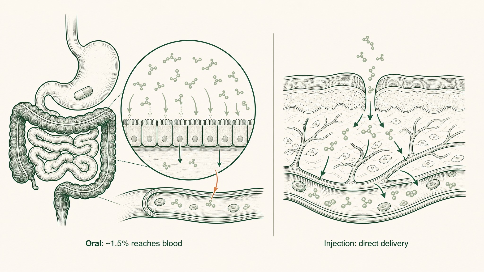 The Real Cost of Sub-2% Bioavailability