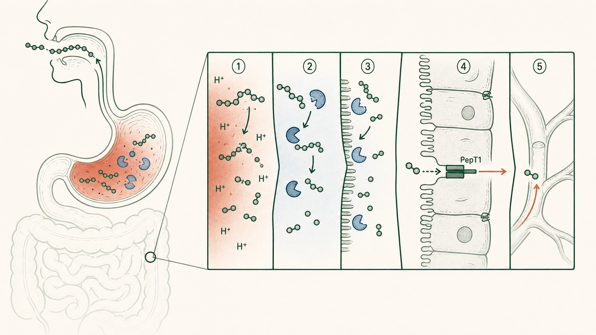 Where Do the Delivery Bottlenecks Show Up in Real Data?