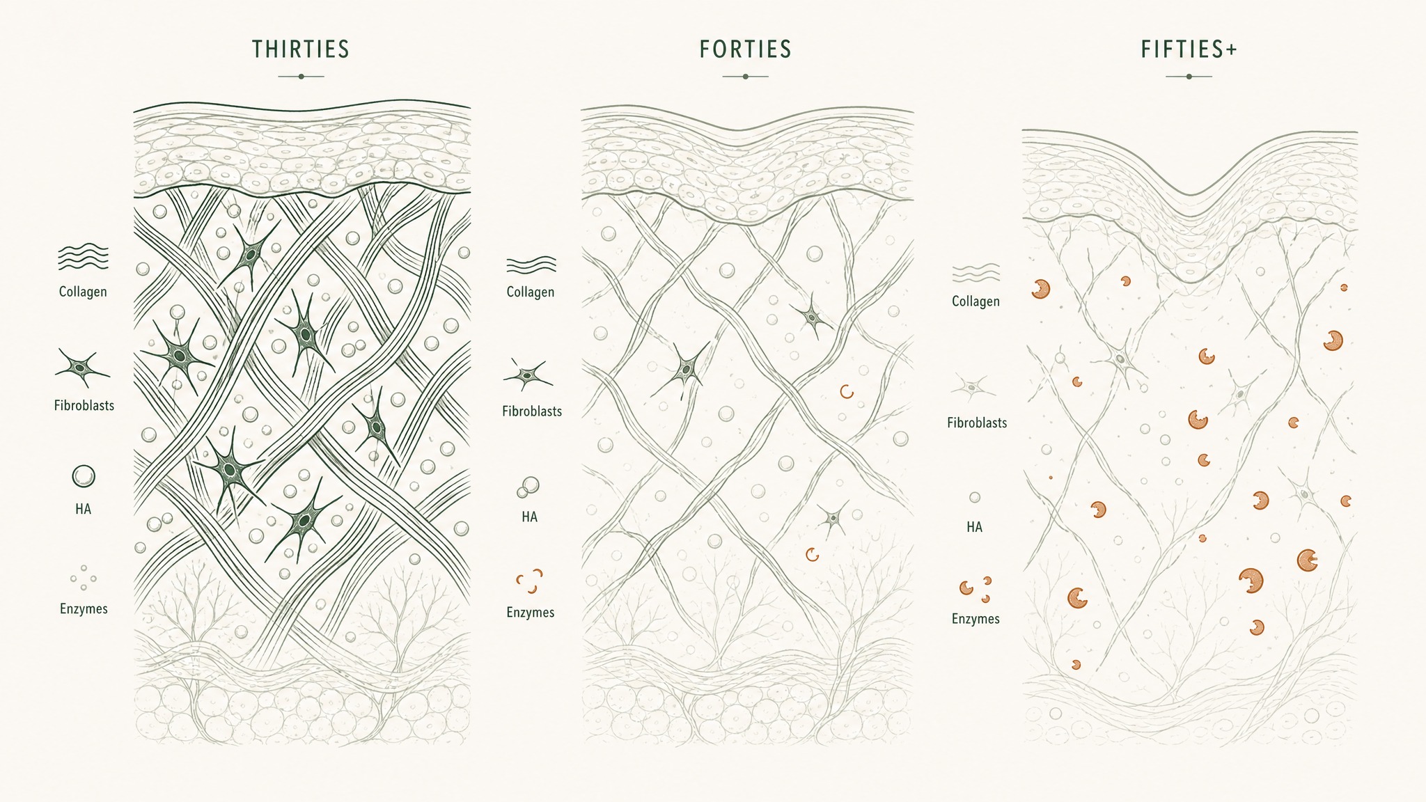 How Your Skin's Age Changes What Matters