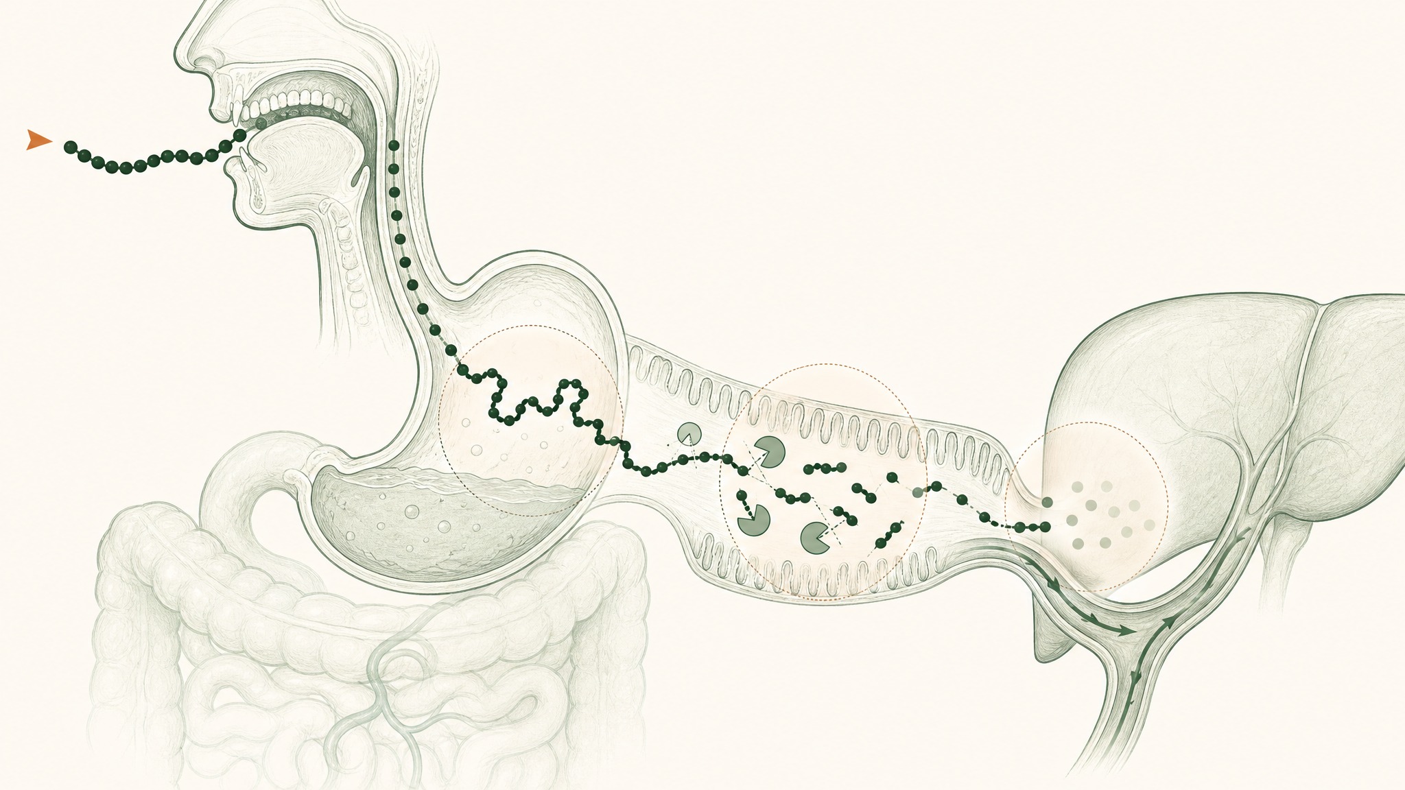 Why has sermorelin historically required subcutaneous injection?