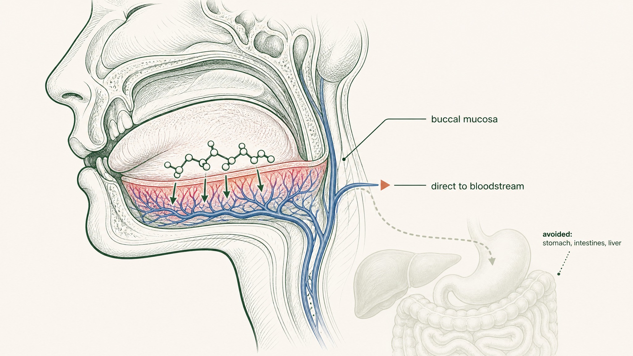 Can sermorelin be taken sublingually?