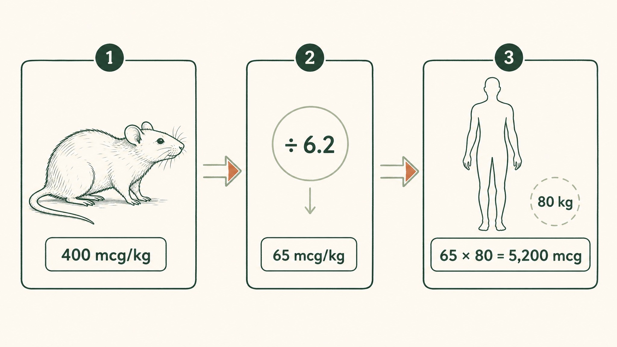 How do researchers calculate a single TB-500 dose from study data?