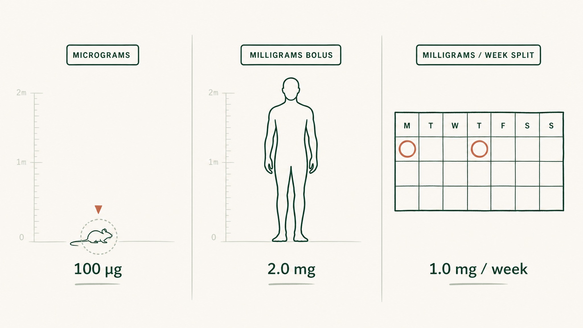 Why are there so many different TB-500 doses?