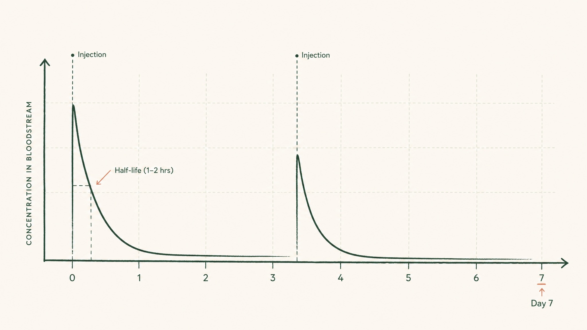 How often should you dose TB-500?