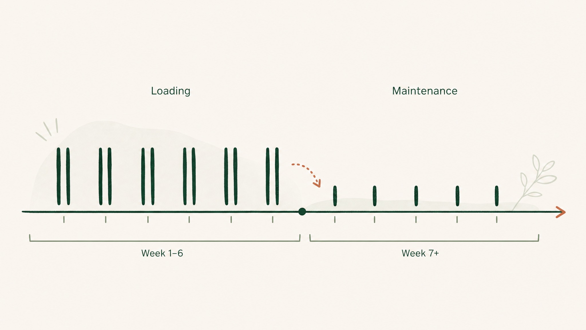 Loading vs maintenance: what's the real difference?