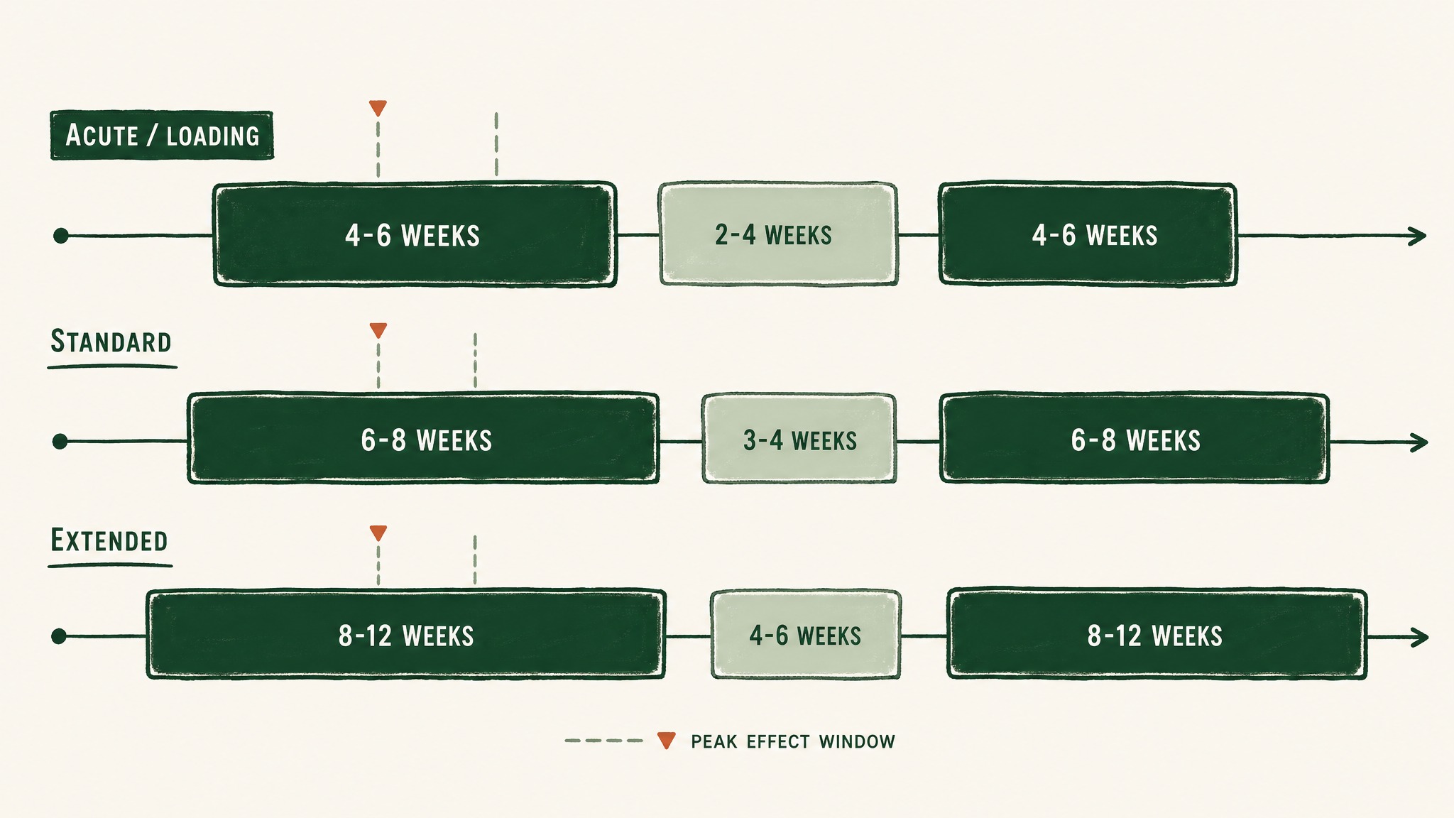 How long should a TB-500 cycle actually run?