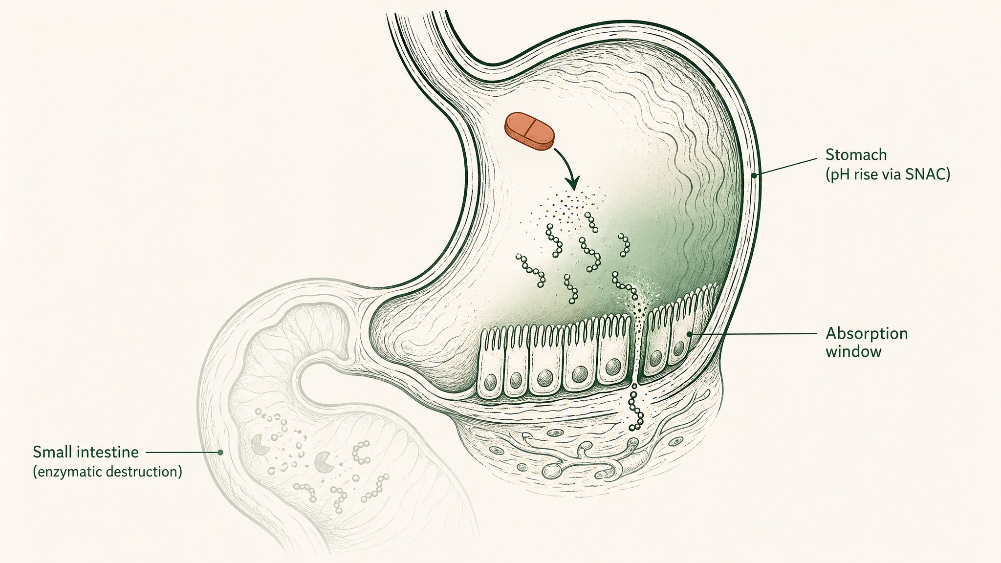 The Numbers: What Pharmaceutical Engineering Has Actually Achieved