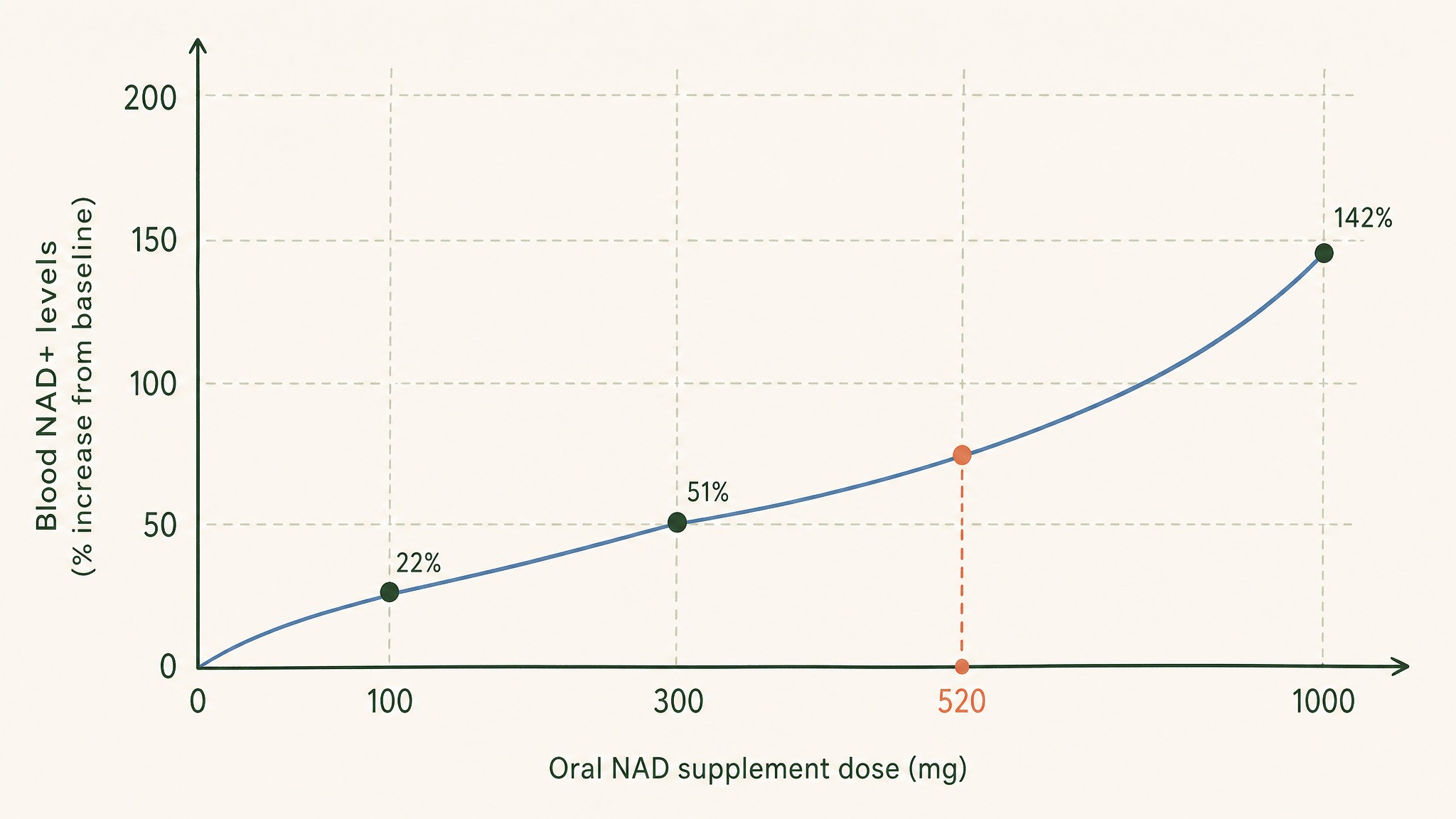 Do NAD Supplements Actually Raise Your NAD+?